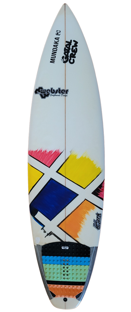 planche surf occasion Custom Webster