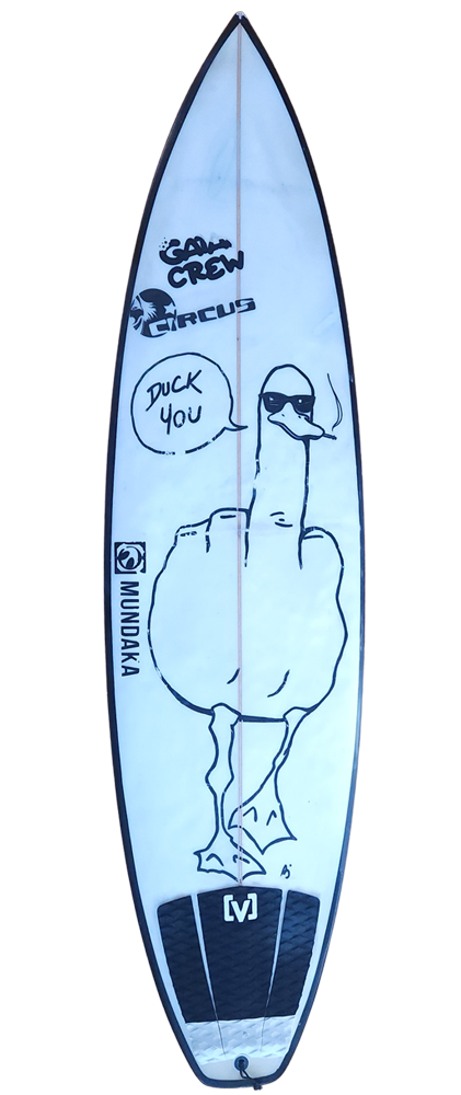planche surf occasion Custom Circus